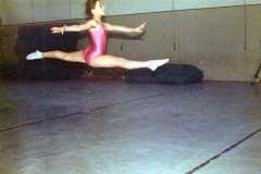 1985-86-007