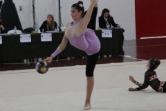 IMG_0155
