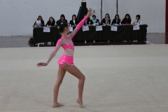 IMG_0570
