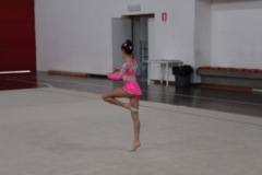 IMG_0588