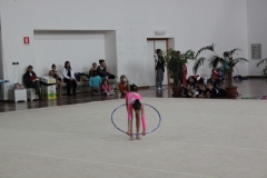 IMG_0645