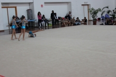 IMG_0981