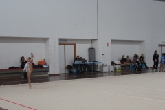 IMG_1408